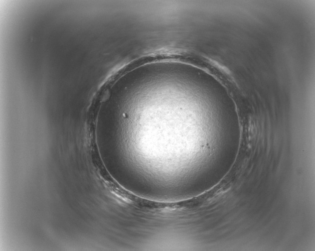 X0000066001160200603101523