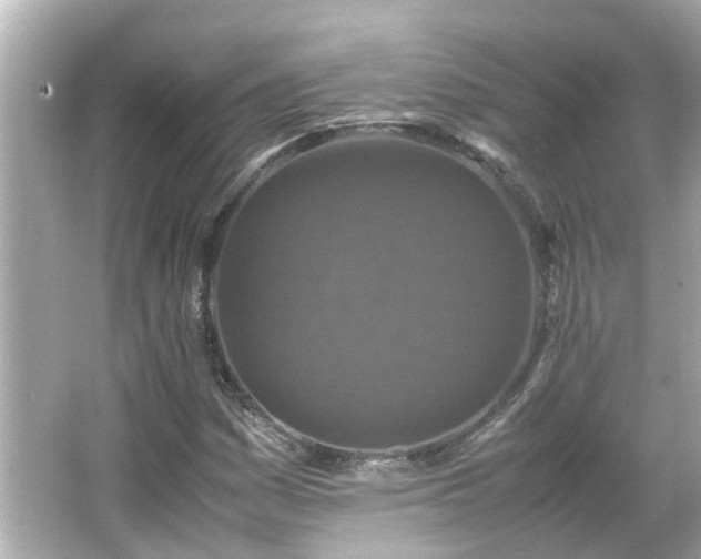 X0000066001161200603101523