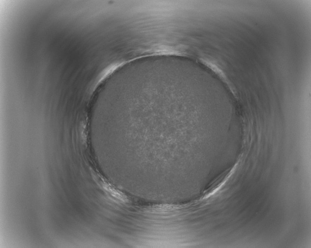 X0000066001163200603101523