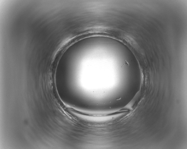 X0000066001164200603101523