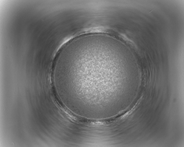 X0000066001166200603101523