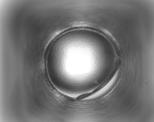 X0000066001167200603101523