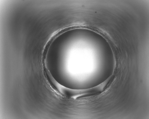 X0000066001168200603101523