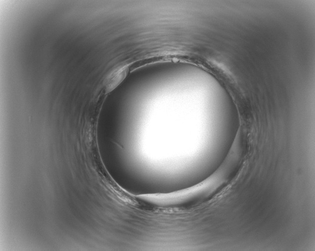 X0000066001169200603101523