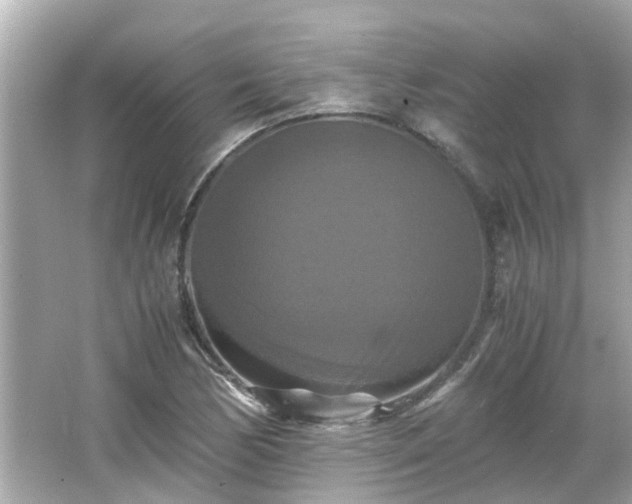 X0000066001170200603101523