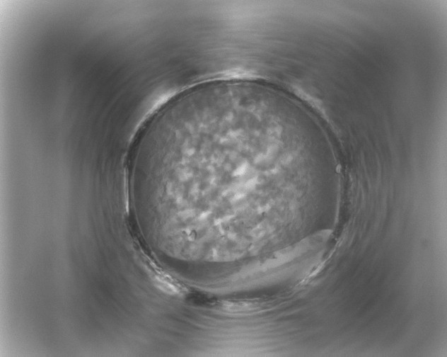 X0000066001171200603101523