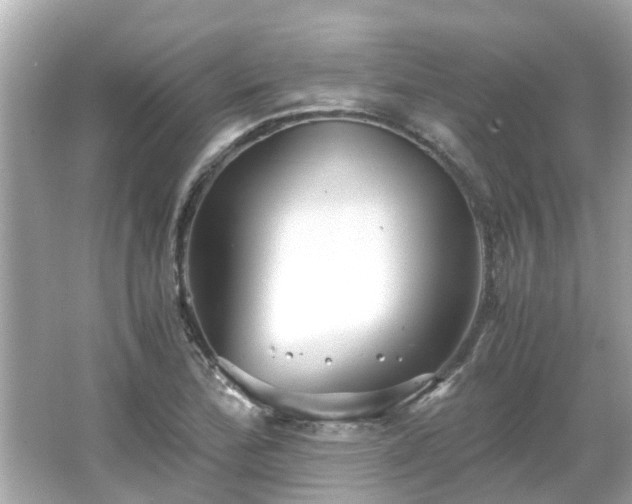 X0000066001172200603101523