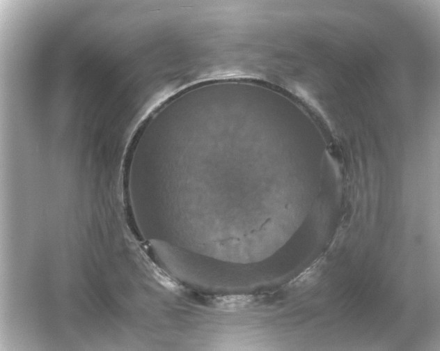 X0000066001173200603101523