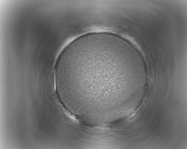 X0000066001175200603101523