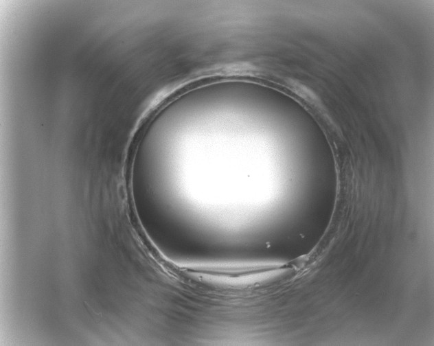 X0000066001176200603101523