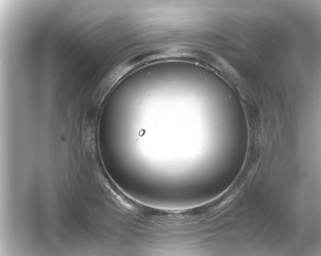 X0000066001177200603101523