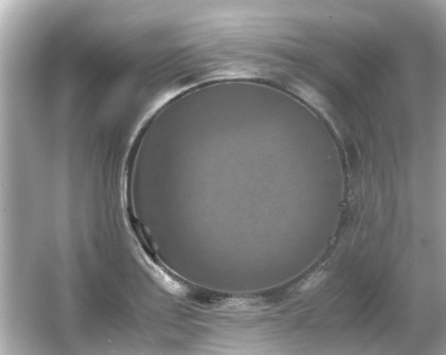 X0000066001179200603101523