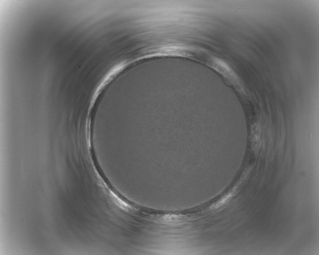 X0000066001180200603101523