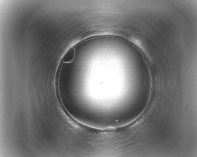 X0000066001181200603101523