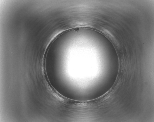 X0000066001182200603101523