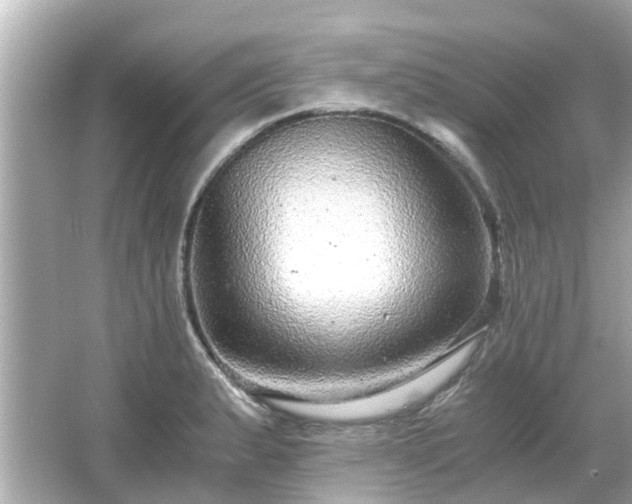 X0000066001183200603101523