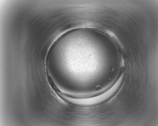 X0000066001184200603101523