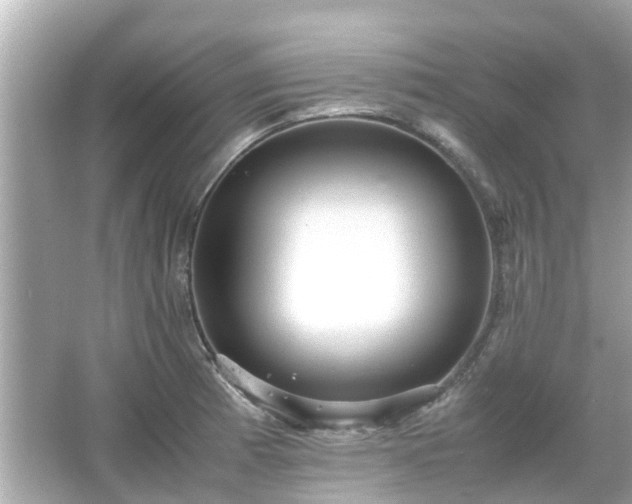 X0000066001185200603101523