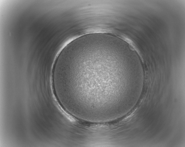 X0000066001187200603101522