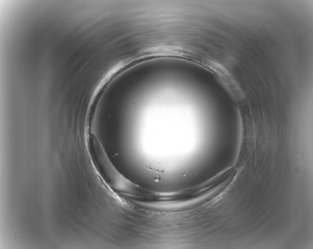 X0000066001188200603101522