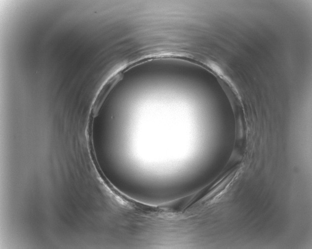 X0000066001189200603101522