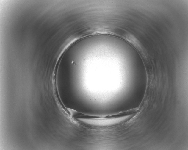 X0000066001190200603101522