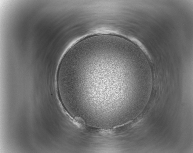 X0000066001191200603101522