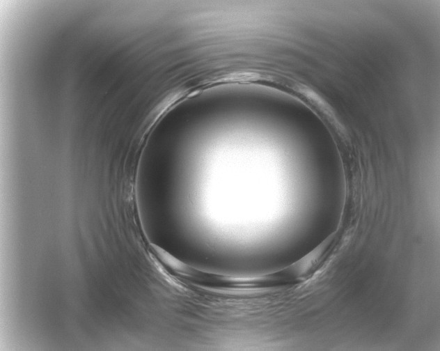 X0000066001193200603101522