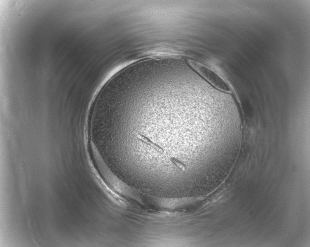 X0000066001195200603101522