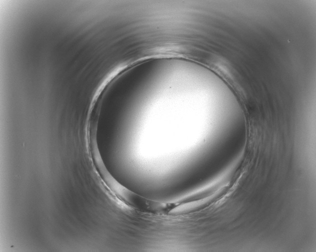 X0000066001196200603101522