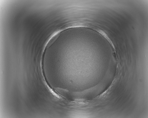 X0000066001197200603101522