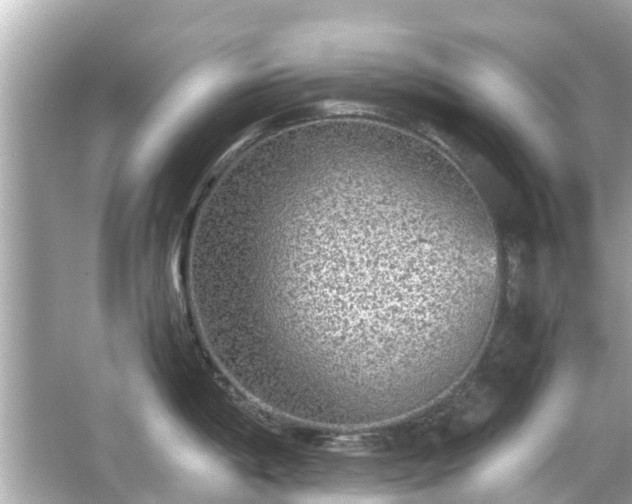 X0000066001198200603101522