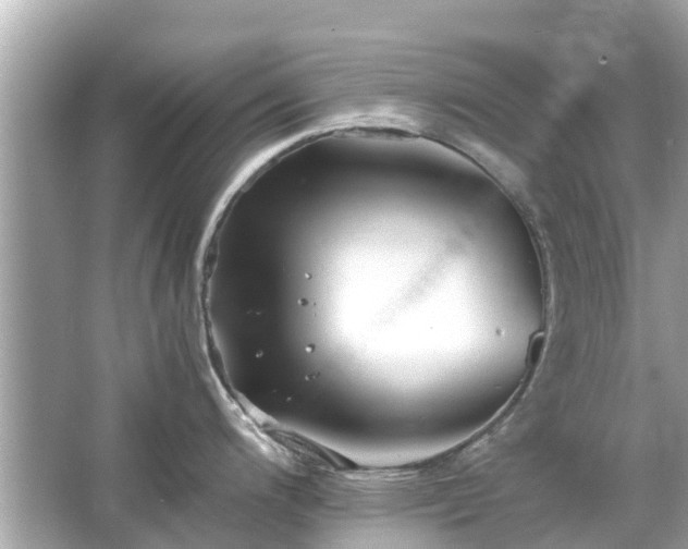 X0000066001200200603101522