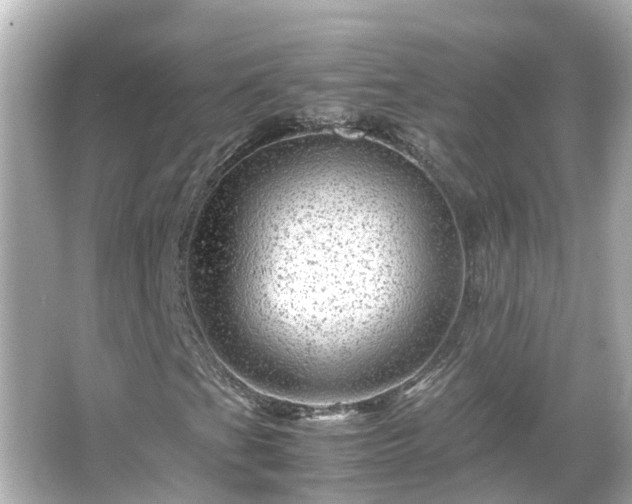 X0000066001201200603101521