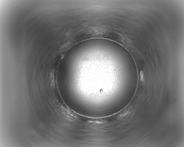 X0000066001203200603101522