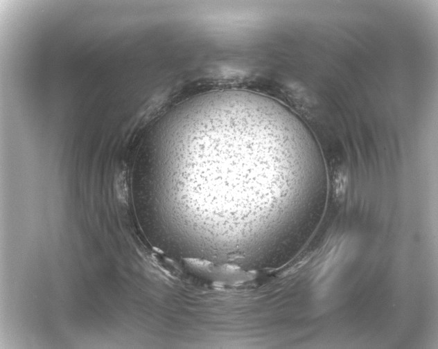 X0000066001204200603101522