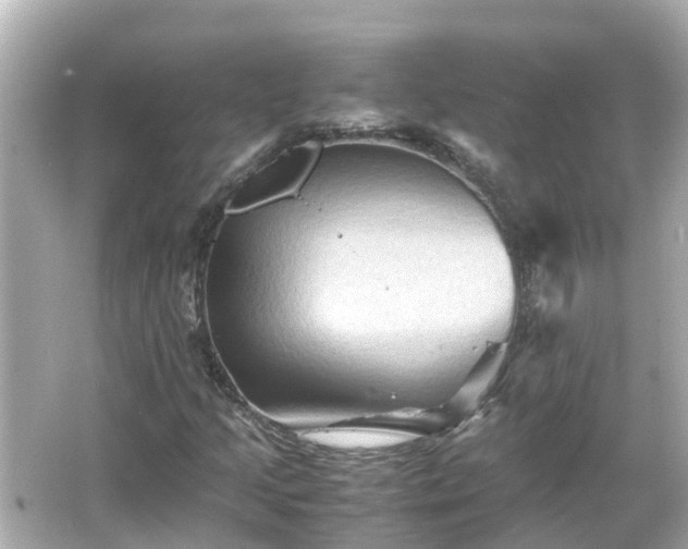 X0000066001205200603101522