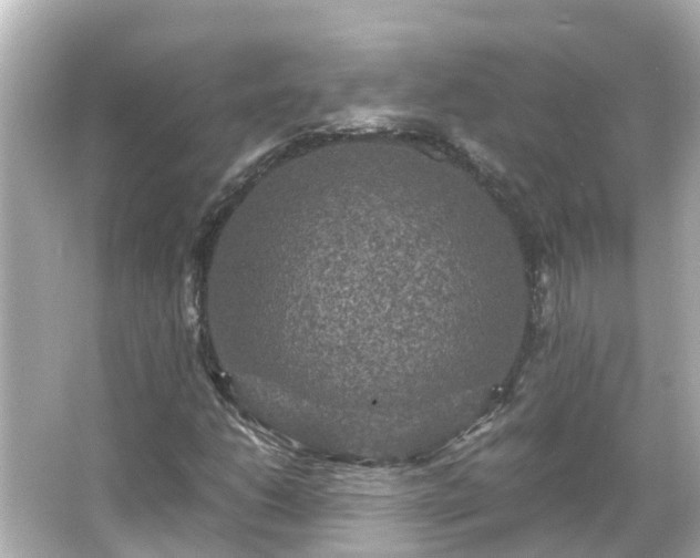 X0000066001206200603101522