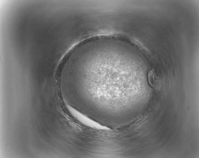 X0000066001208200603101522