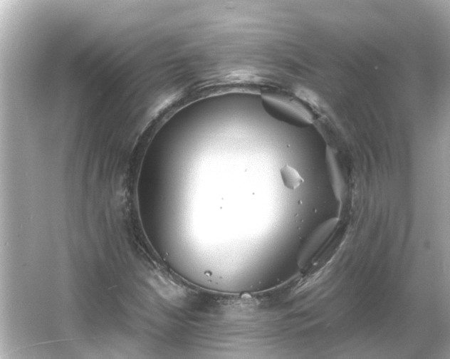 X0000066001210200603101522