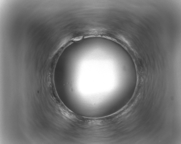 X0000066001211200603101522