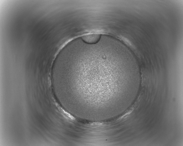 X0000066001212200603101522