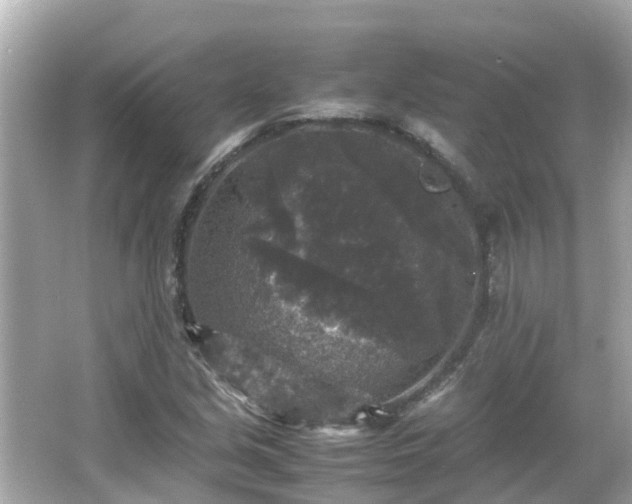 X0000066001213200603101522