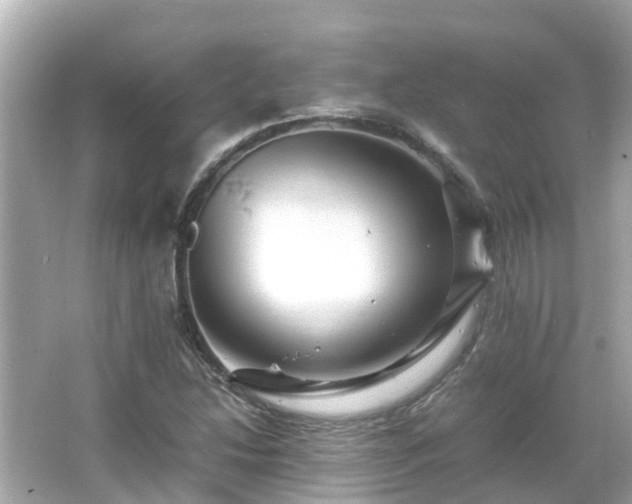 X0000066001214200603101522