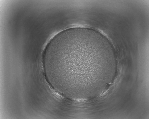 X0000066001215200603101522