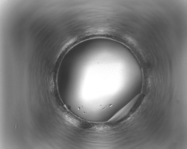 X0000066001218200603101522