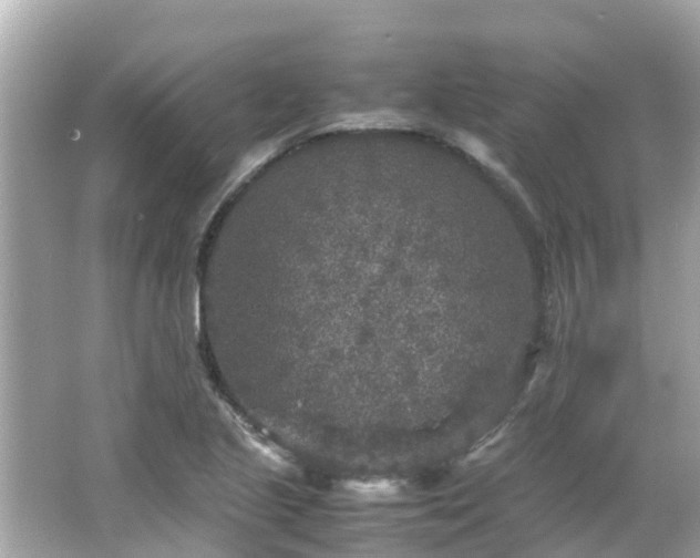 X0000066001221200603101522