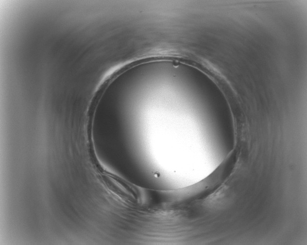 X0000066001222200603101522