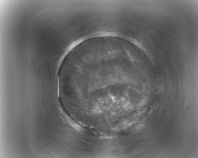 X0000066001223200603101522