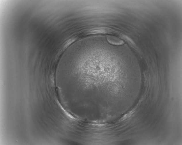 X0000066001225200603101522